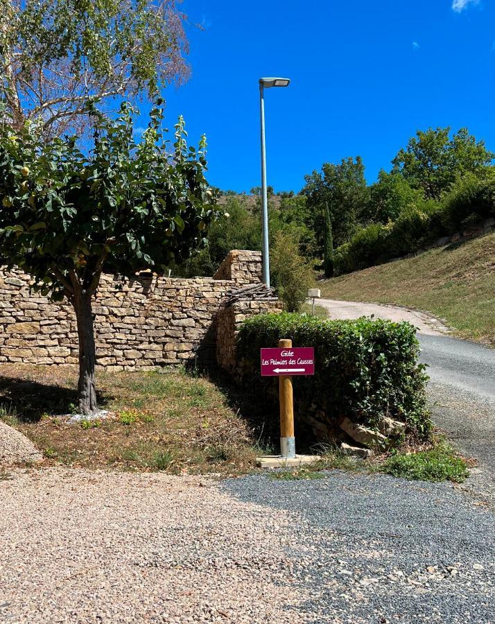 Chambre Au Calme Avec Spa Privatif Gratuit Sud Aveyron Les Palmiers Des Causses Saint-Rome-de-Tarn Экстерьер фото
