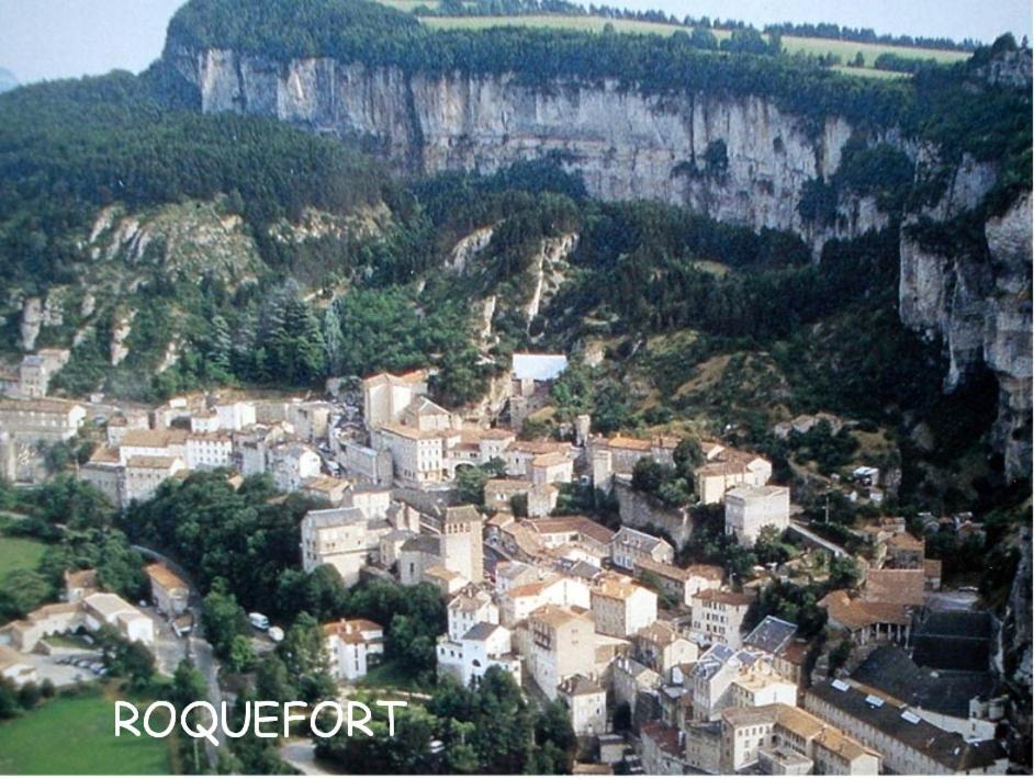Chambre Au Calme Avec Spa Privatif Gratuit Sud Aveyron Les Palmiers Des Causses Saint-Rome-de-Tarn Экстерьер фото